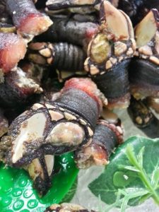 20140621 095556 HDR scaled e1738523085236